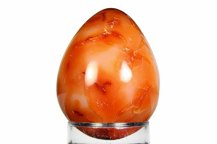 Vibrant Polished Carnelian Agate Egg - Madagascar #355470